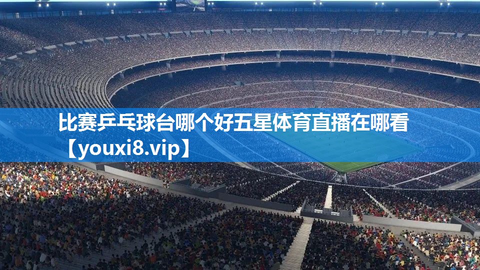 比赛乒乓球台哪个好五星体育直播在哪看