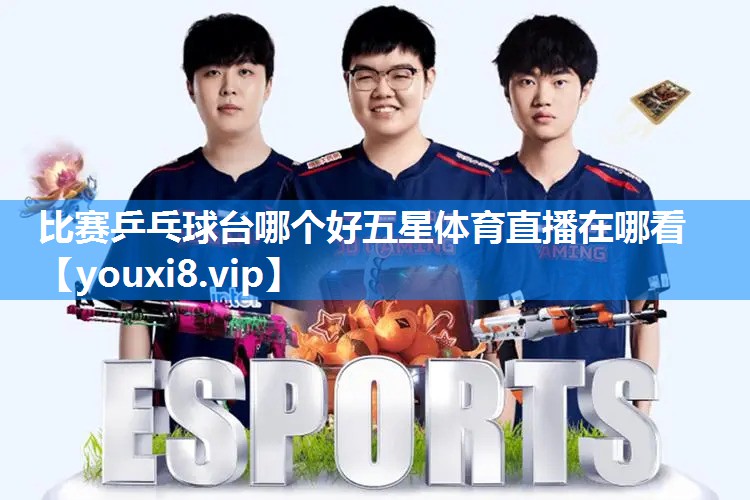 比赛乒乓球台哪个好五星体育直播在哪看
