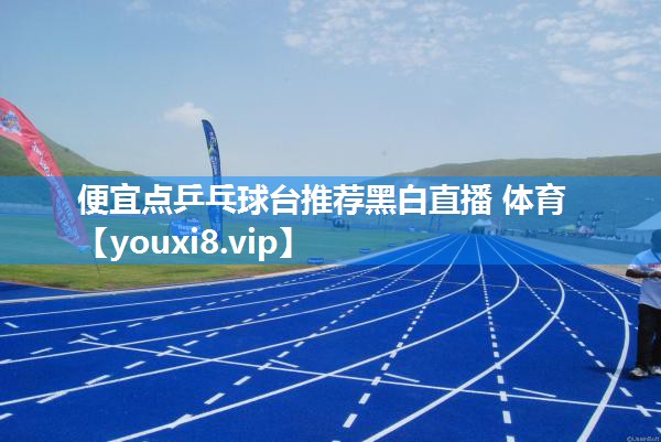 便宜点乒乓球台推荐黑白直播 体育