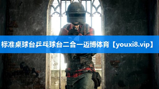 标准桌球台乒乓球台二合一迈博体育
