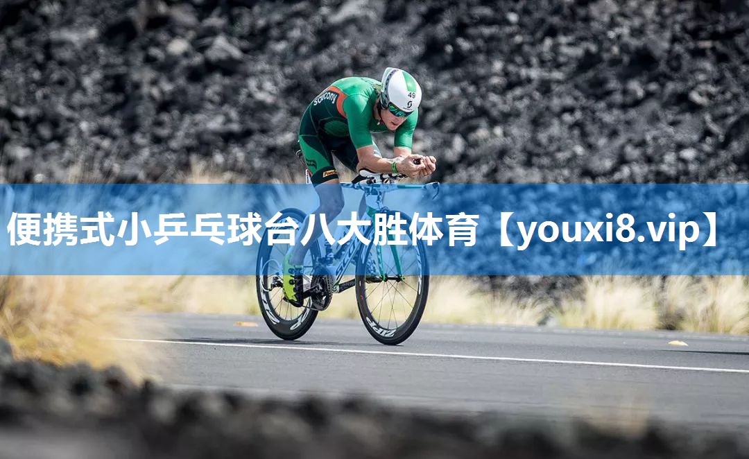 便携式小乒乓球台八大胜体育