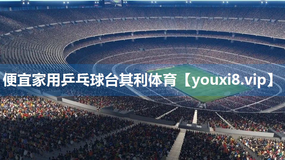 便宜家用乒乓球台其利体育
