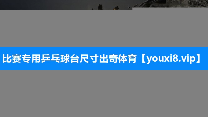 比赛专用乒乓球台尺寸出奇体育