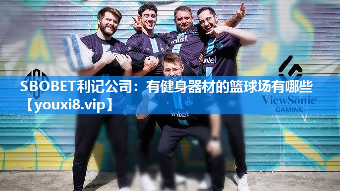 有健身器材的篮球场有哪些