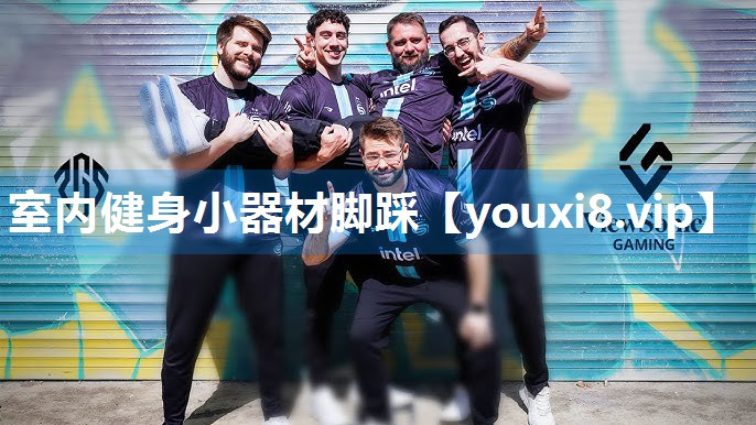 室内健身小器材脚踩