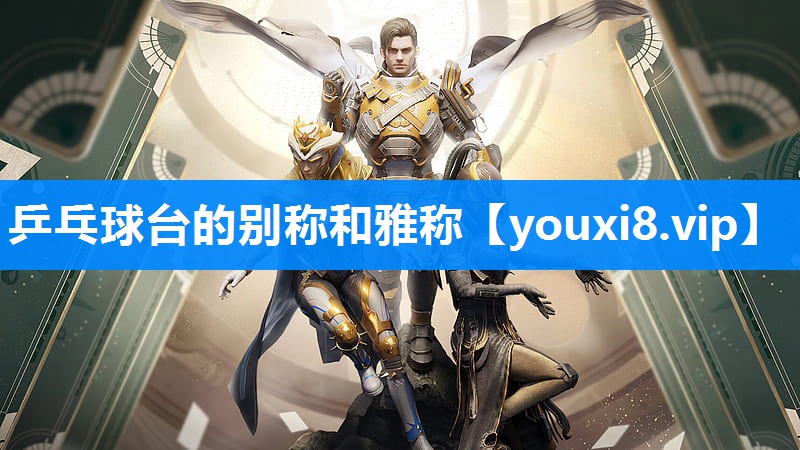 乒乓球台的别称和雅称